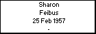 Sharon Feibus
