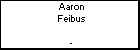 Aaron Feibus